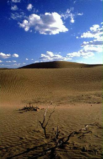 Area Natural Medanos Grandes