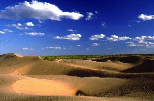 Area Natural Medanos Grandes