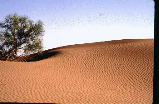 Area Natural Medanos Grandes