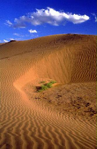 Area Natural Medanos Grandes