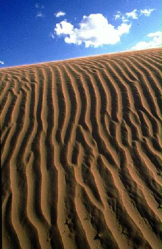 Area Natural Medanos Grandes