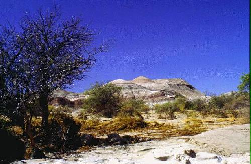 Parque Provincial Ischigualasto  o Valle de la Luna