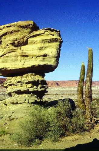 Parque Provincial Ischigualasto  o Valle de la Luna