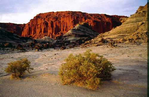 Parque Provincial Ischigualasto  o Valle de la Luna