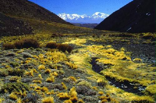 Reserva Natural Estricta El Leoncito