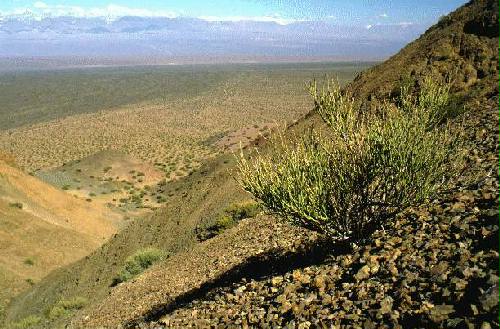 Reserva Natural Estricta El Leoncito