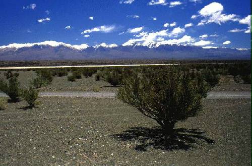 Reserva Natural Estricta El Leoncito