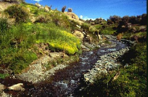 Reserva Natural Estricta El Leoncito