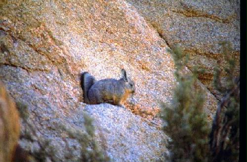 Reserva Natural Estricta El Leoncito