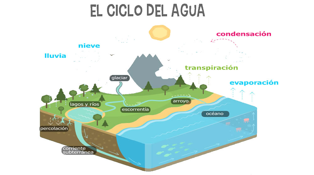 Fases del ciclo del agua