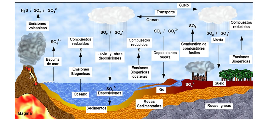 ciclo biogeoquímico del azufre 