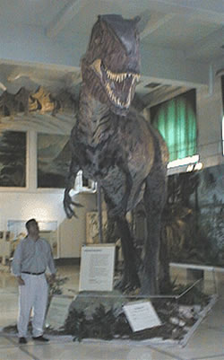 Giganotosaurus Carolini en el Museo Argentino de Ciencias Naturales