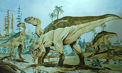 Kritosaurus australis