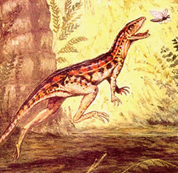 Lagosuchus talampayensis