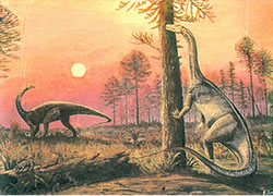 Riojasaurus Incertus