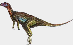Pisanosaurus Mertii
