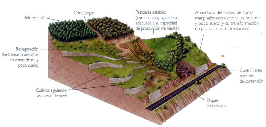 Algunas medidas para evitar la erosión y recuperar suelos erosionados.