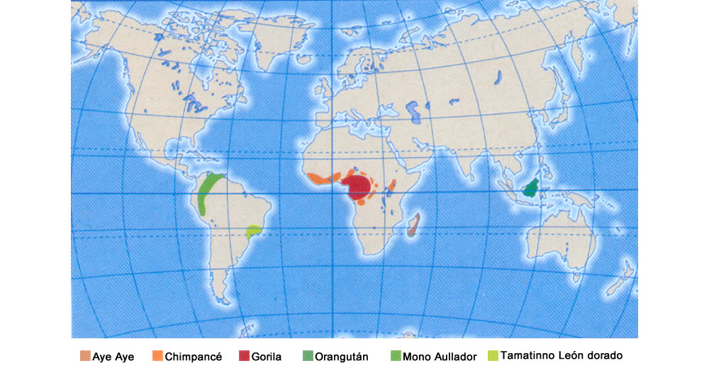 Mapa de los principales primates en extinción
