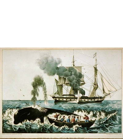 Incidente con Estados Unidos de 1853