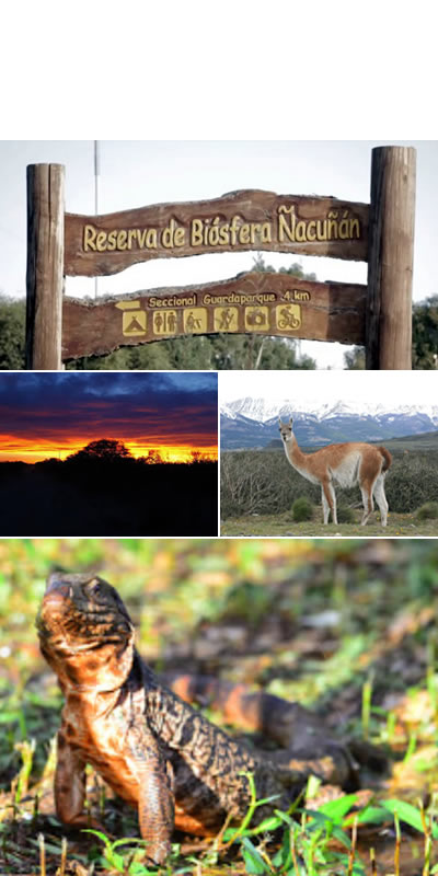 Reserva de la Biosfera de Ñacuñán