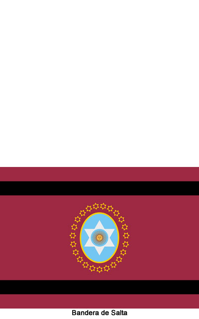 bandera de la provincia de Salta