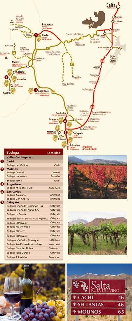 ruta del vino en Salta