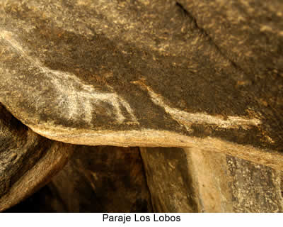 Arte rupestre en paraje Los Lobos , turismo de San luis