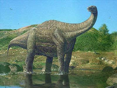 Un dinosaurio gigante en Neuquén  el Neuquensaurus australis