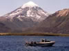 Parque Nacional Lanin  San Mart�n de los Ande