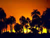 Parque Nacional El Palmar  Col�n