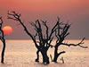 Reserva Natural Mar Chiquita  C�rdoba