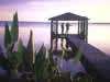 Reserva Natural R�o Pilcomayo  Clorinda